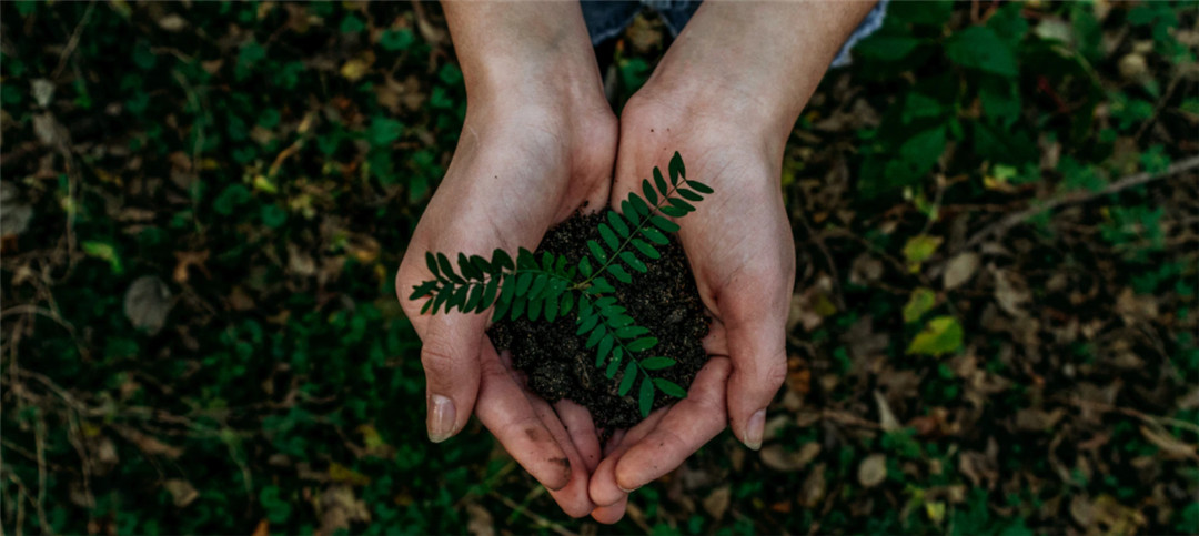 O desenvolvimento sustentável é a tendência do mundo.Somente quando insistirmos na produção verde poderemos ter um futuro brilhante e duradouro.(2)